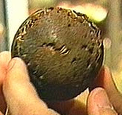 Alexander Cartwright Ball 1